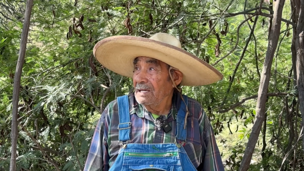apoyar a los padres