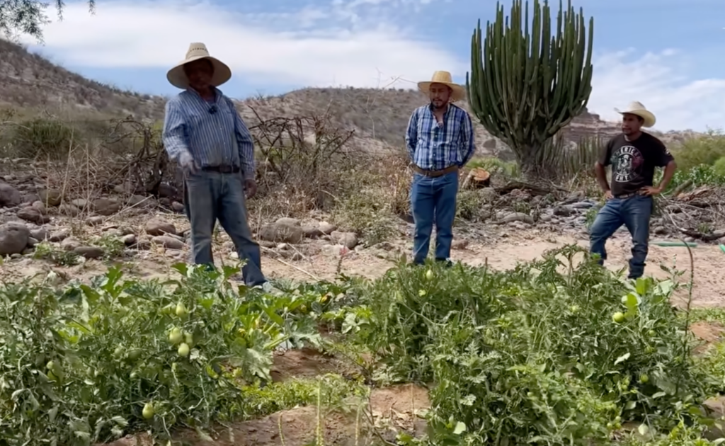 Desde muy joven aprendió las labores del campo
