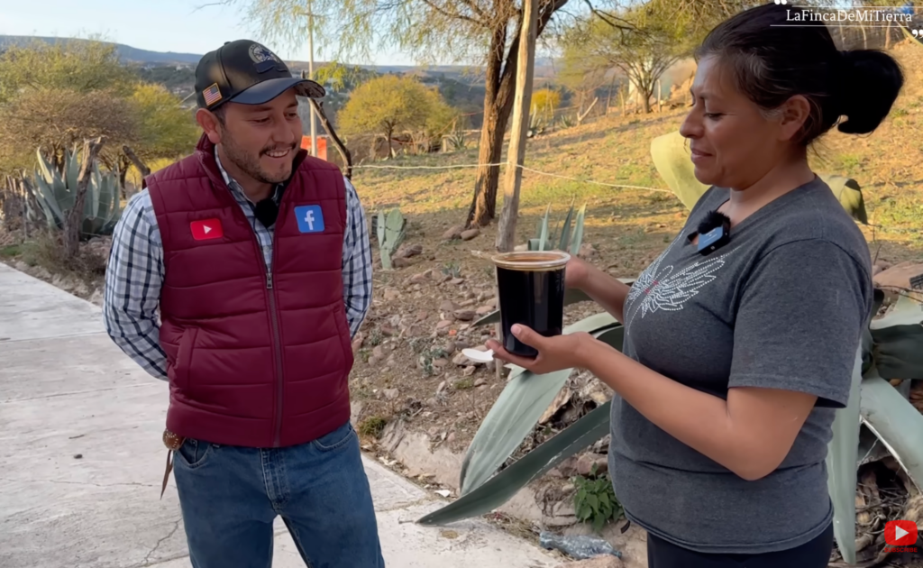 aguamiel fresco como miel de maguey