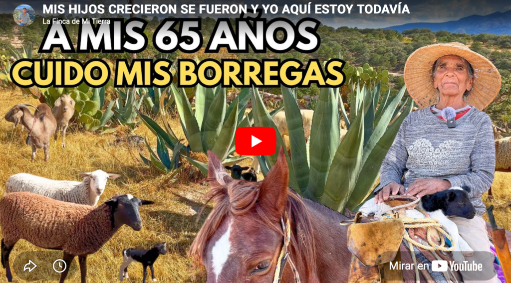 A mis 65 años cuido mis borregos